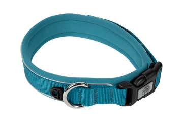 Radar Dog Collar - Wake United
